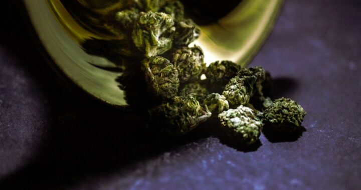 cannabis_inside_trumpet